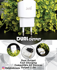 Dual Output Charger for Home